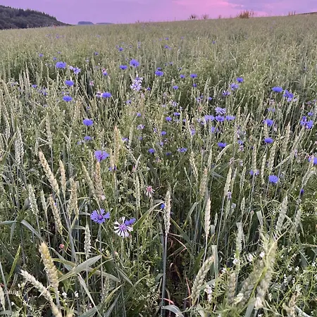 Hébergement de vacances Ourtal